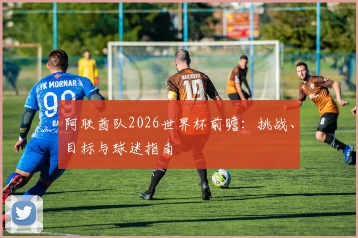 阿联酋队2026世界杯前瞻:挑战、目标与球迷指南